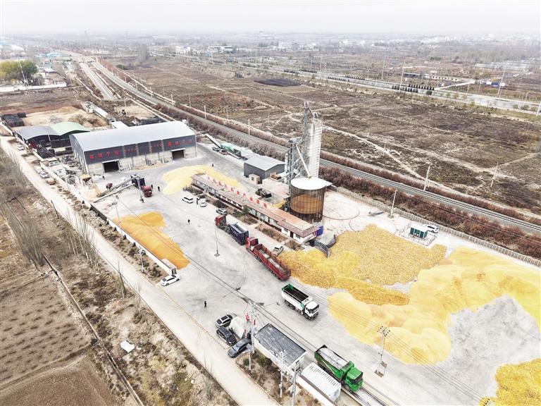 ���ʷNֲ ��Ч���� ���ܺ��ȫ朗l؞ͨ �����������m���^�ߺ��΅^���״�ԇ�N�ɹ�